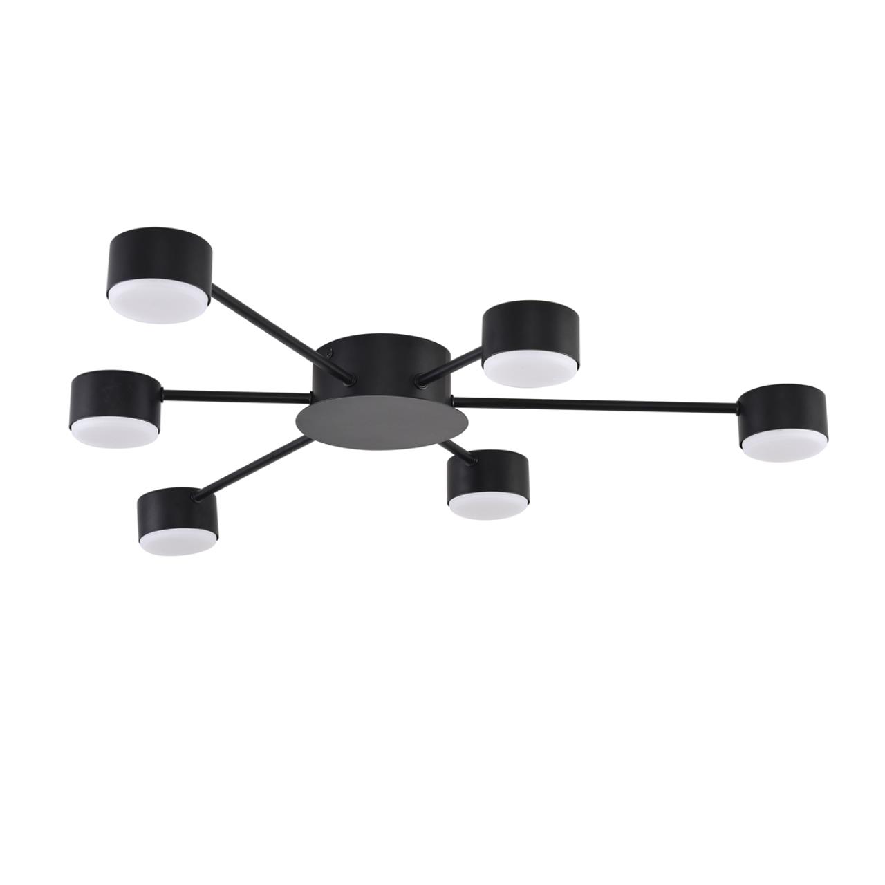 Потолочные 8344/6C Lumion Люстра TORINA, доставка по Казахстану 