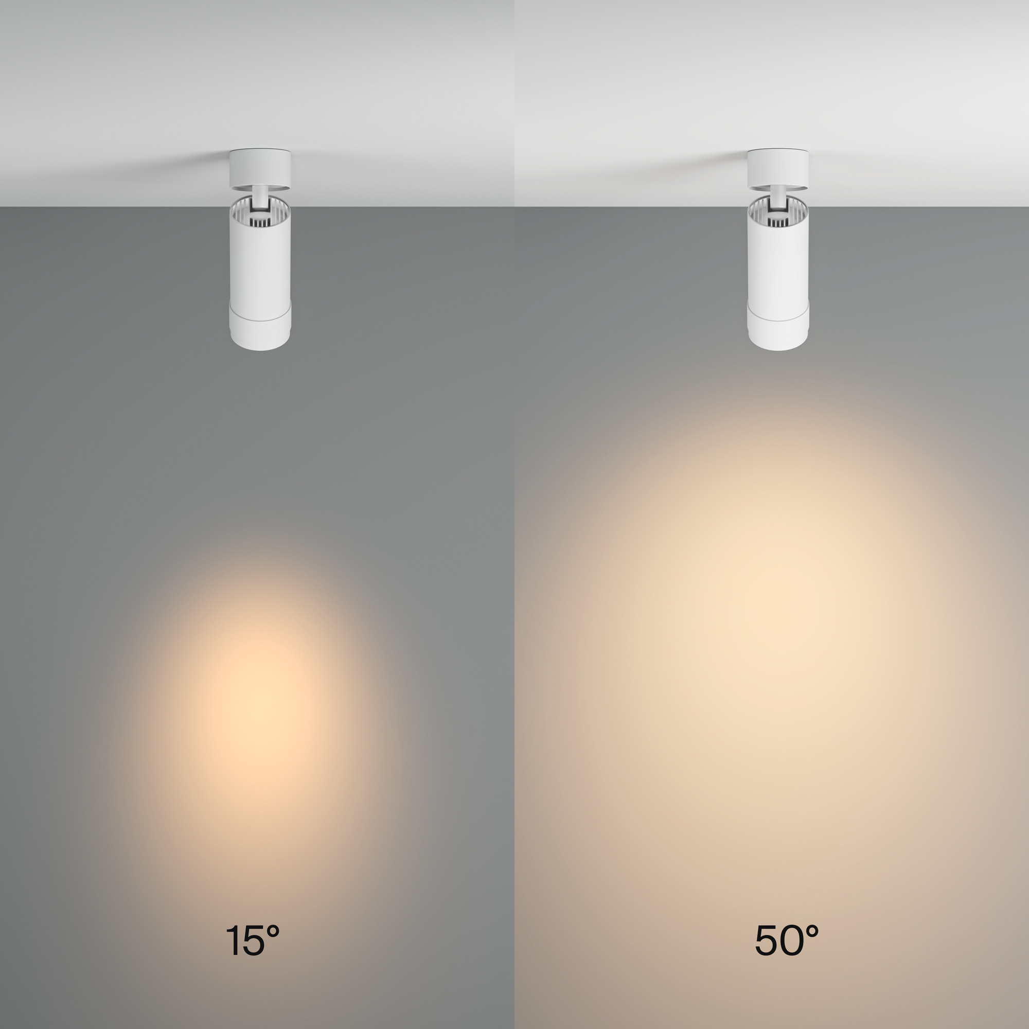 Дополнительная картинка Потолочный светильник Technical C055CL-L12W3K-Z-W