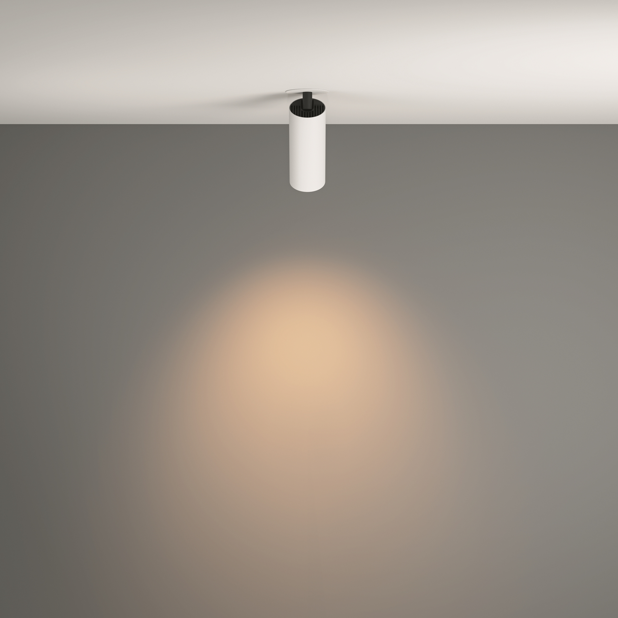 Картинка Потолочный светильник Technical C053CL-L12W3K-W-W