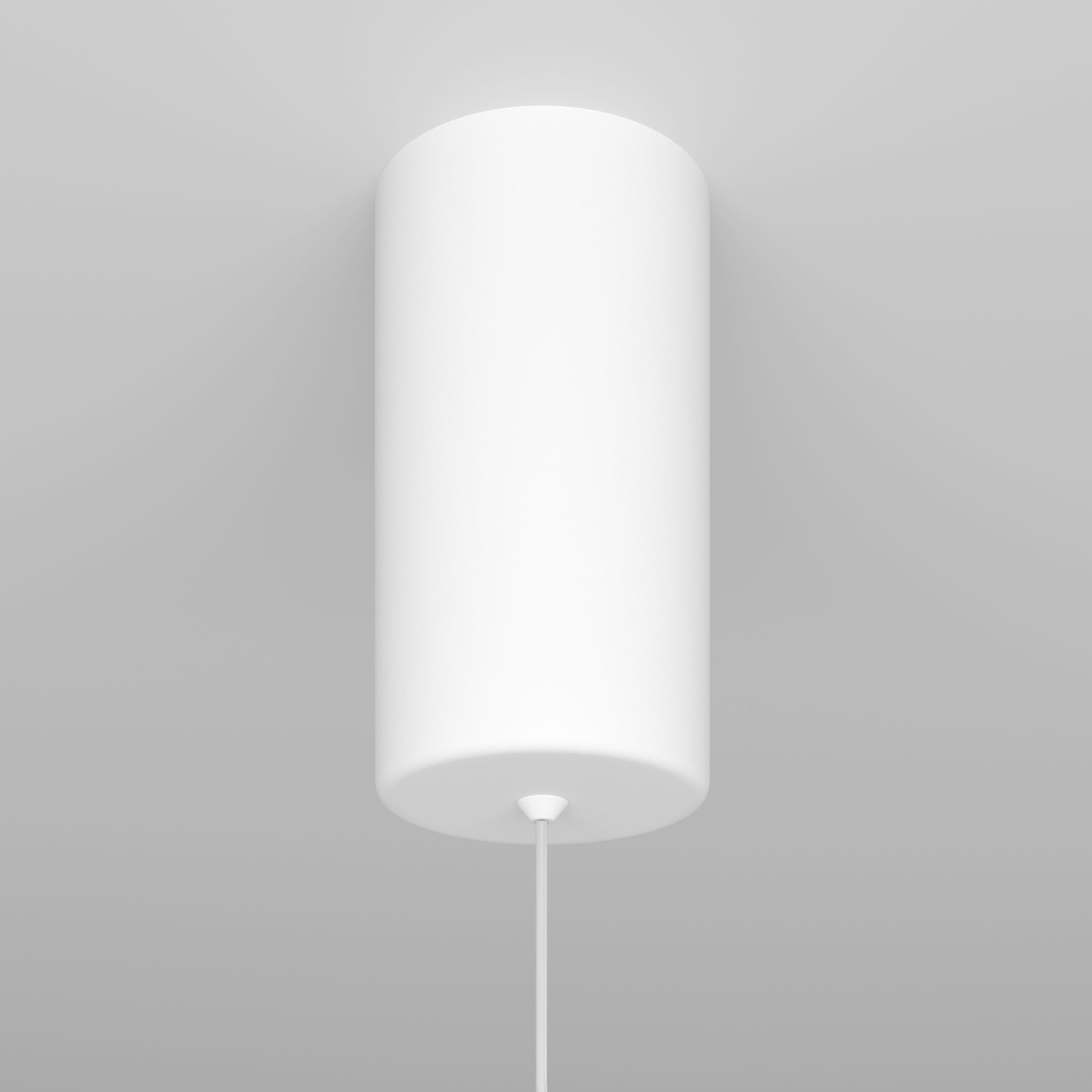 Дополнительная картинка Подвесной светильник Technical P022PL-L10W