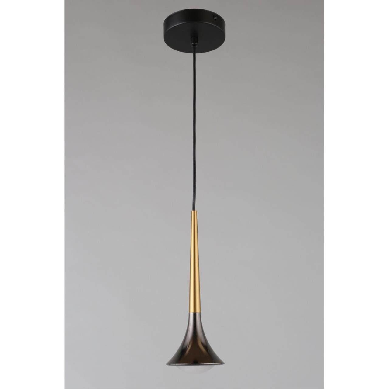 Картинка APL.784.06.01 Светильник подвесной Aployt Agas