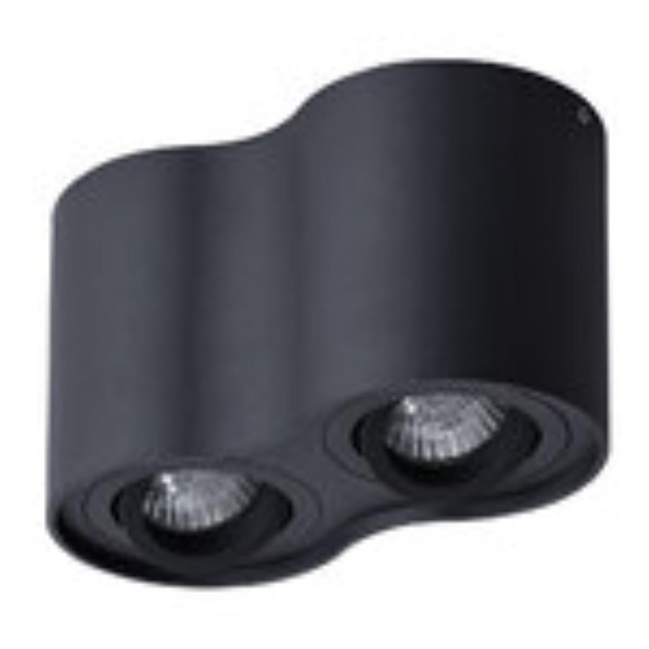 Дополнительная картинка Потолочный светильник Arte Lamp Falcon A5645PL-2BK