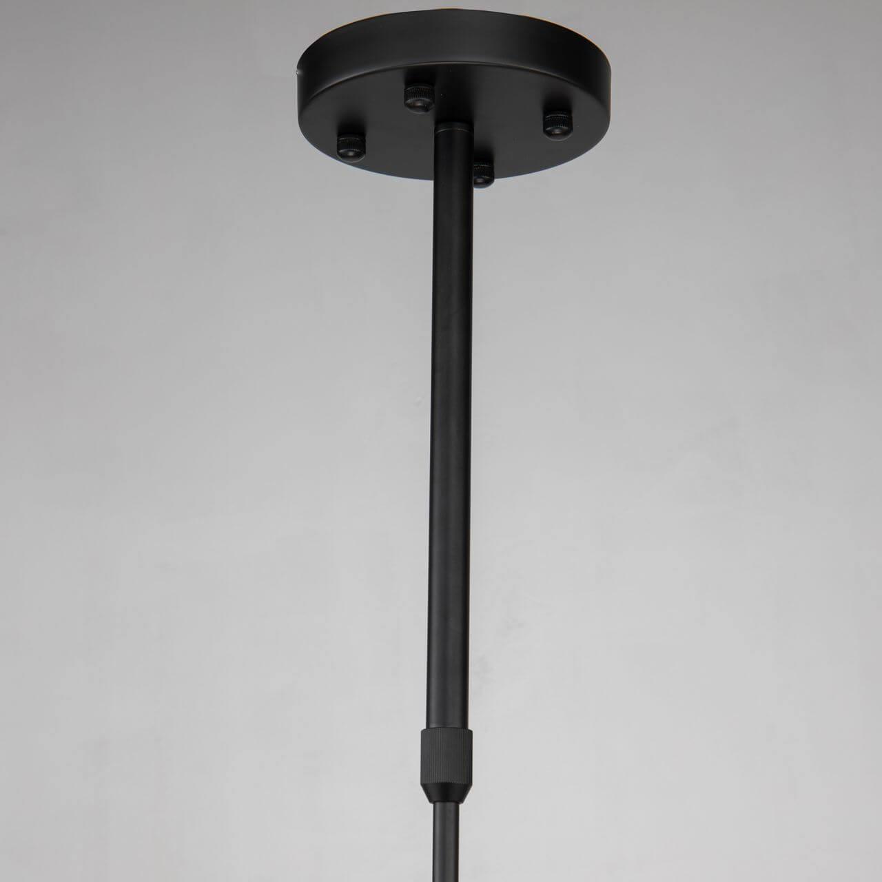 Картинка Подвесная люстра Favourite Recens 2626-16P