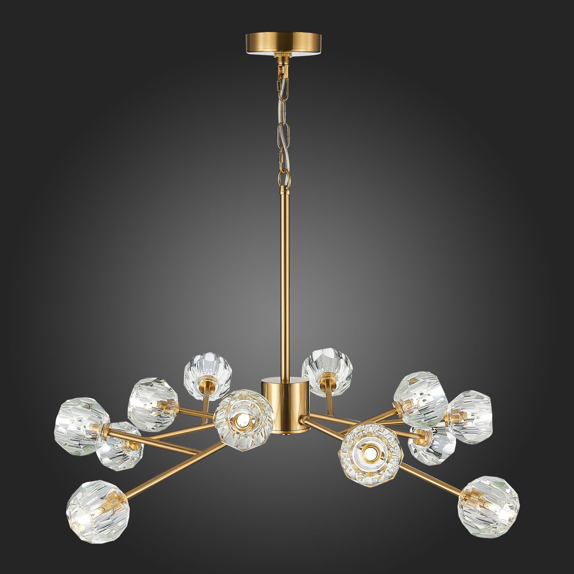 Картинка Подвесная люстра ST Luce Romano SL1166.303.12