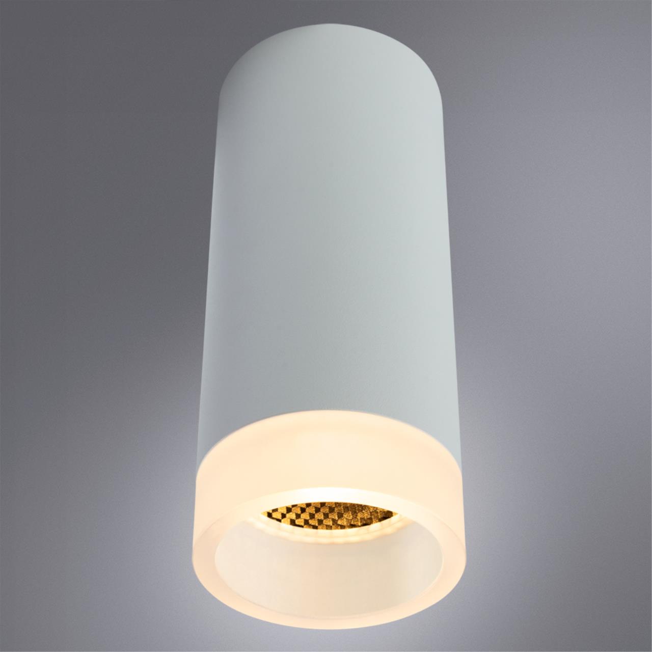 Дополнительная картинка Потолочный светильник Arte Lamp Ogma A5556PL-1WH