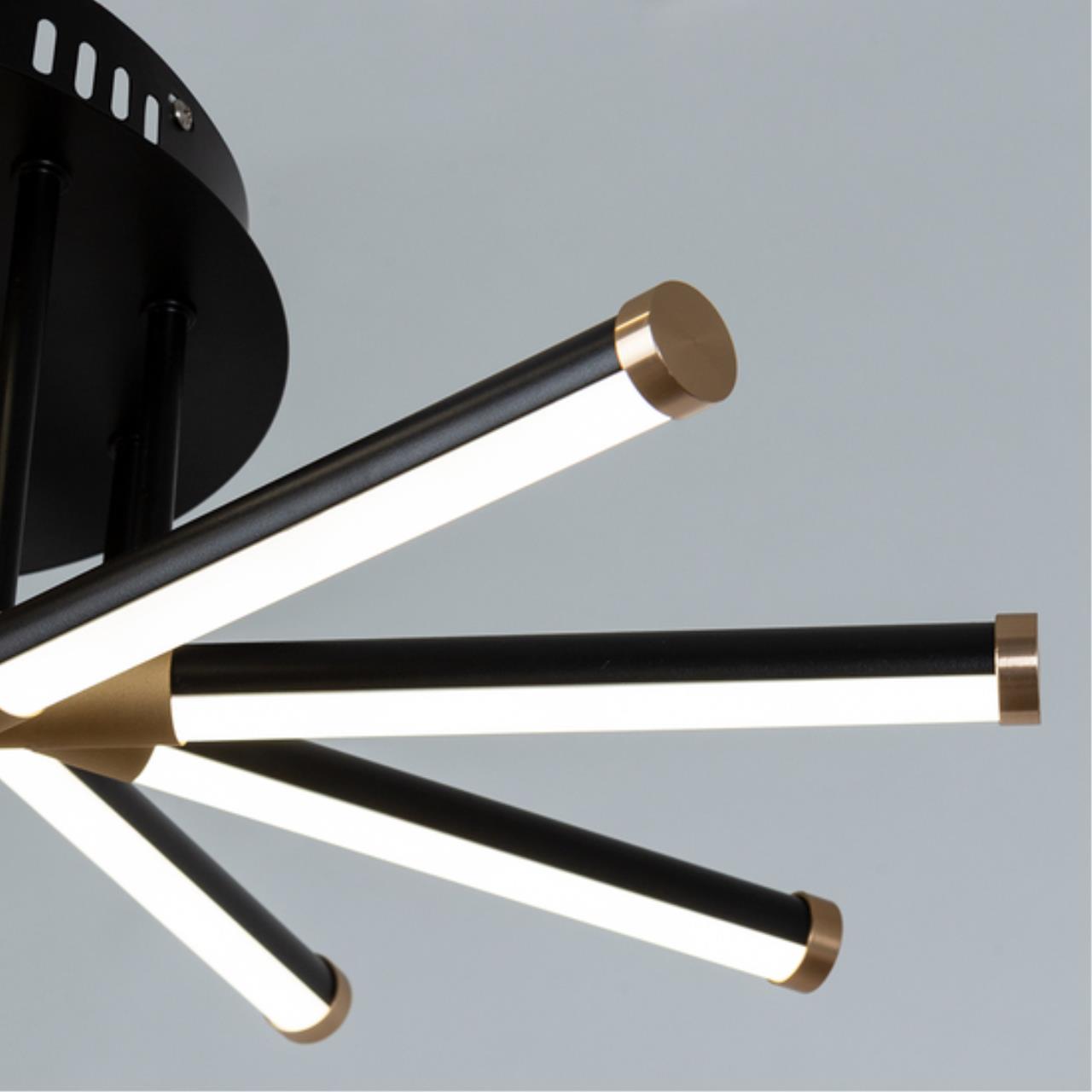 Дополнительная картинка Потолочный светильник Arte Lamp FERNANDO A2199PL-5BK