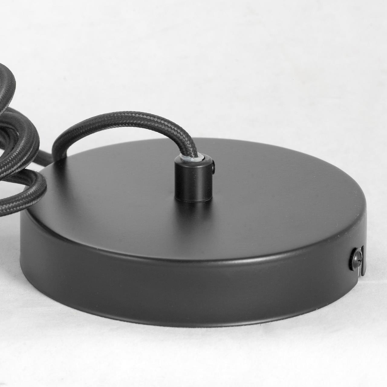 Дополнительная картинка Подвесной светильник Lussole Lgo Strawberry LSP-8212