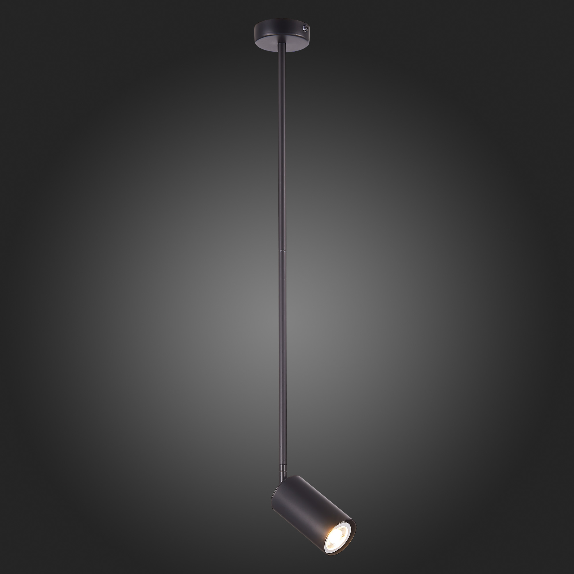 Картинка Подвесной светильник ST Luce Sormano SL1206.403.01