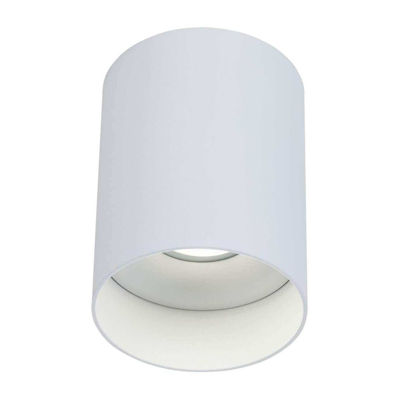 Картинка Потолочный светильник Maytoni Alfa C014CL-01W