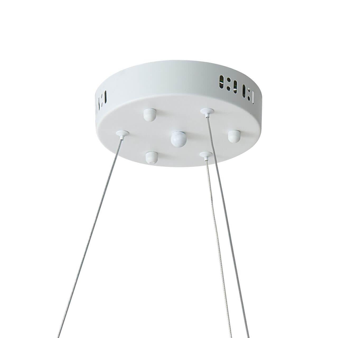 Картинка Подвесная люстра Favourite Taddy Bears 2451-6P