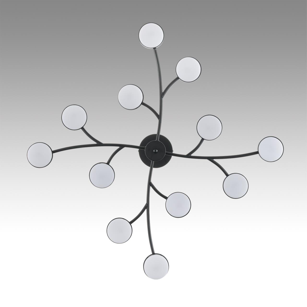 Дополнительная картинка 8117/12 Lumion Люстра TORINA