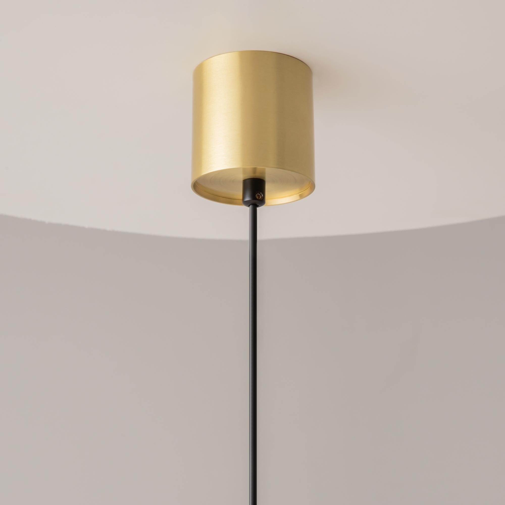 Дополнительная картинка Подвесной светильник Technical P100PL-20W4K-BS