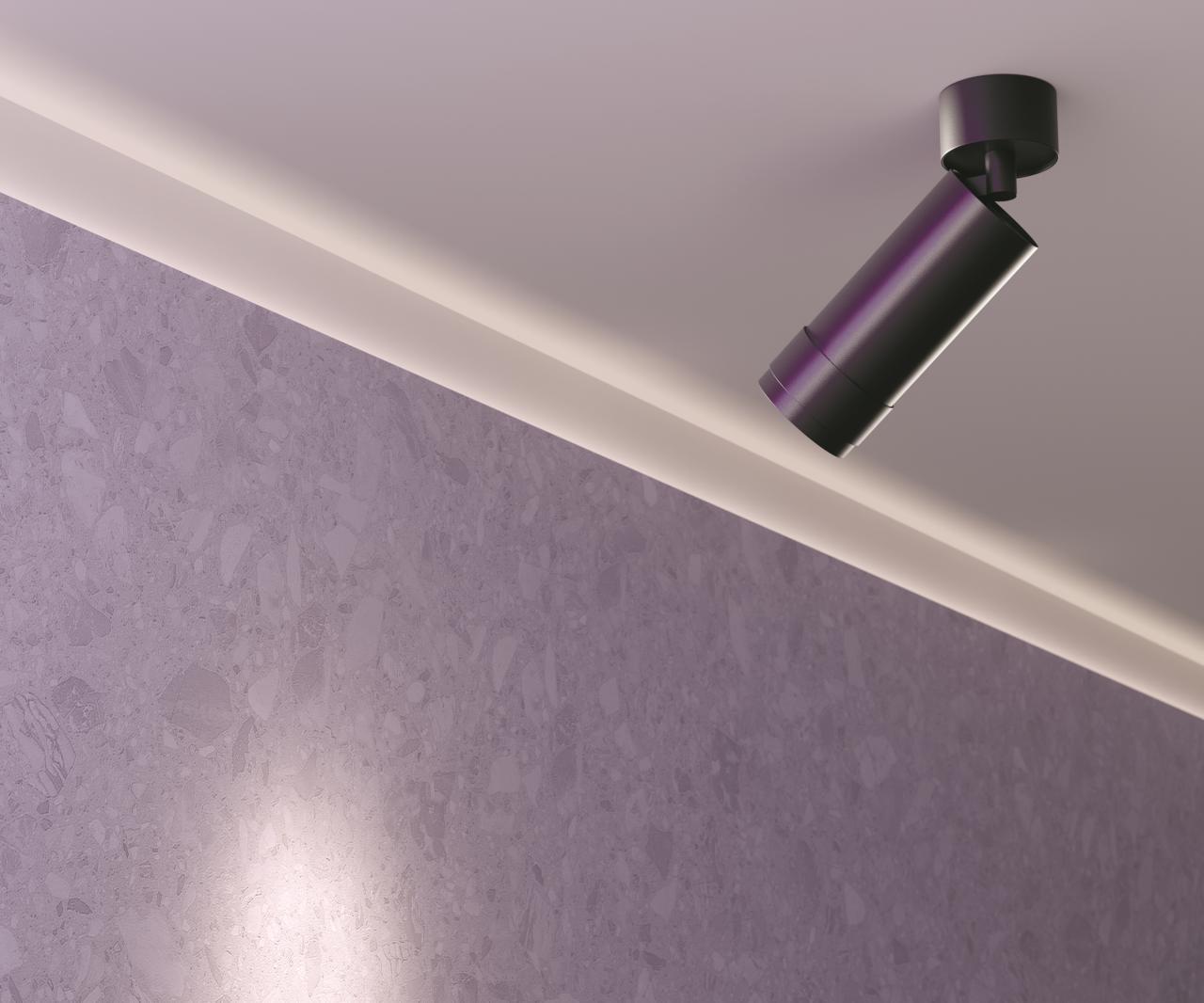Дополнительная картинка Потолочный светильник Technical C055CL-L12W3K-Z-B
