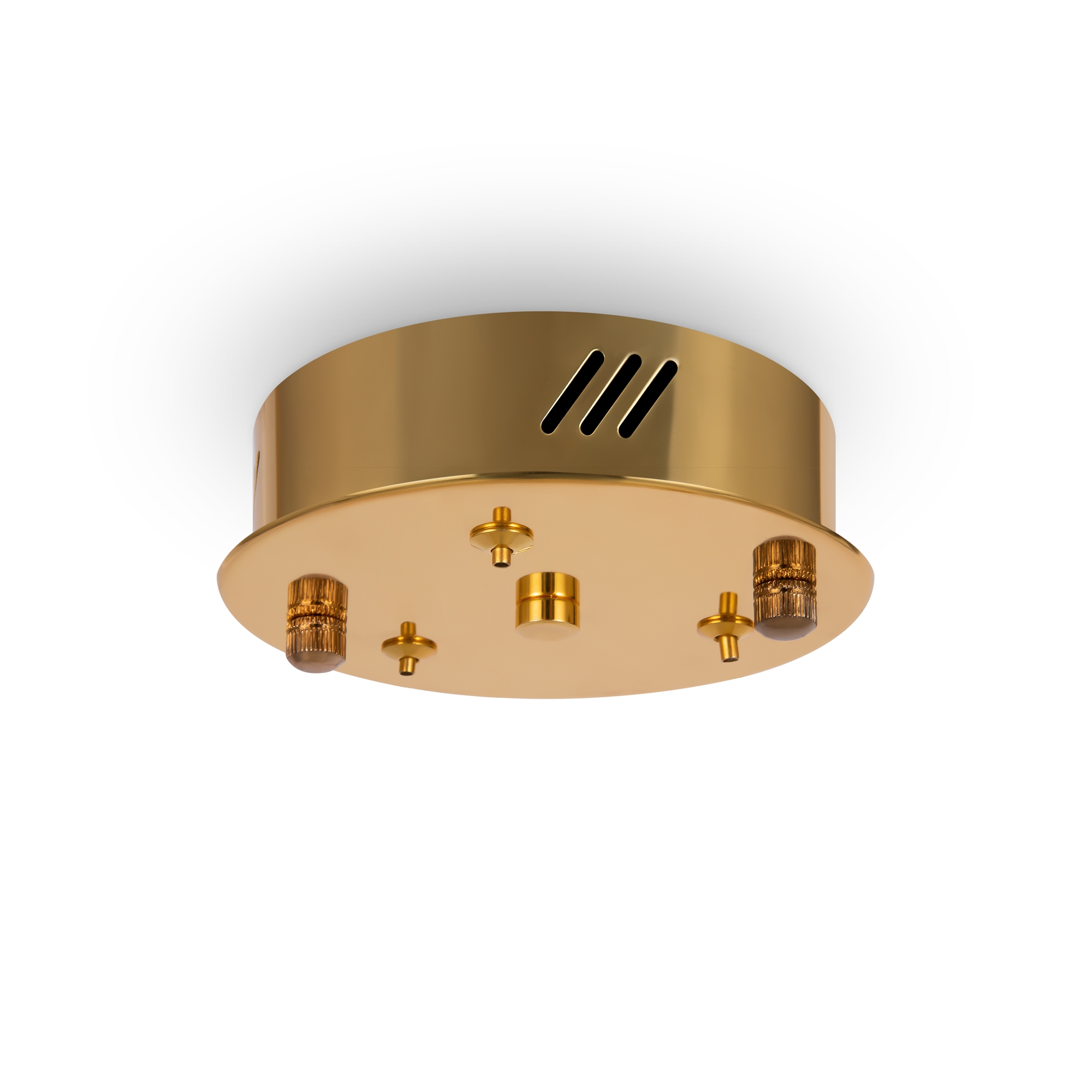 Дополнительная картинка Подвесной светильник Freya FR5257PL-L25G