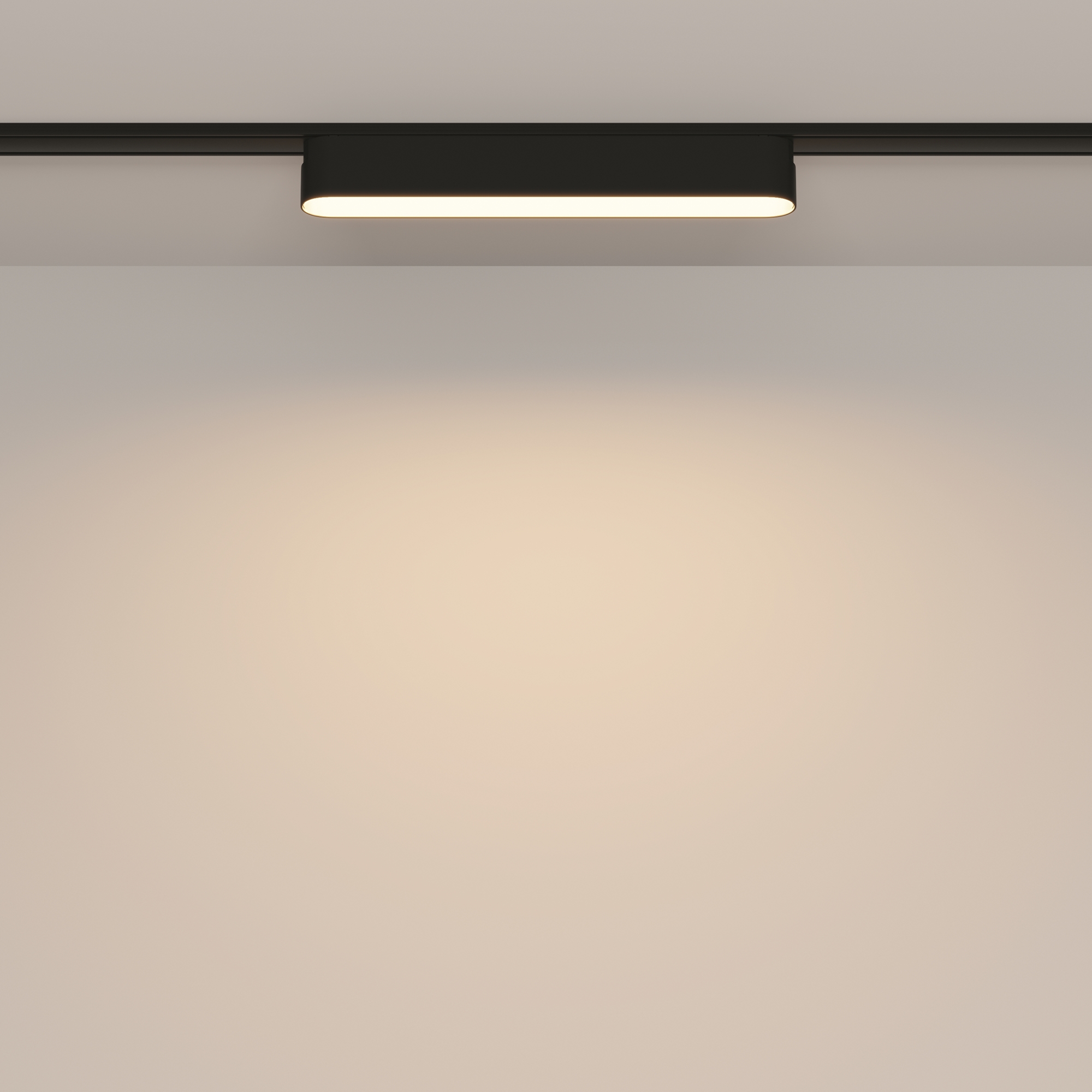 Картинка Трековый светильник Technical TR080-1-12W3K-B