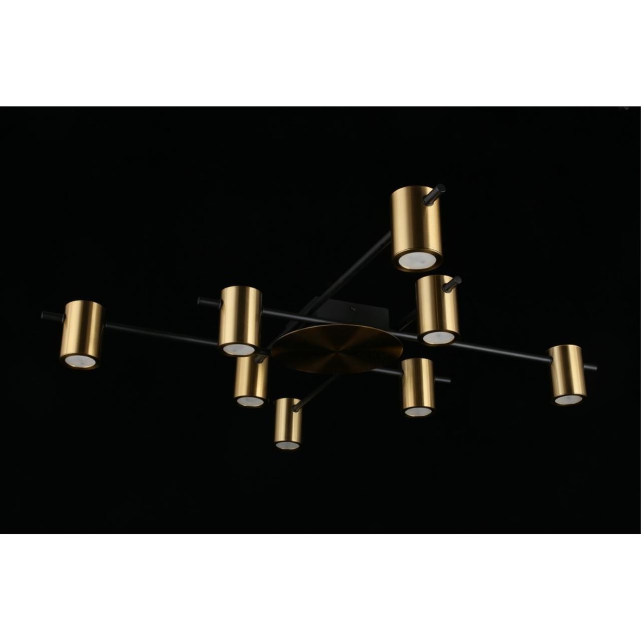 Картинка Потолочная люстра Aployt Elwisia APL.633.07.08