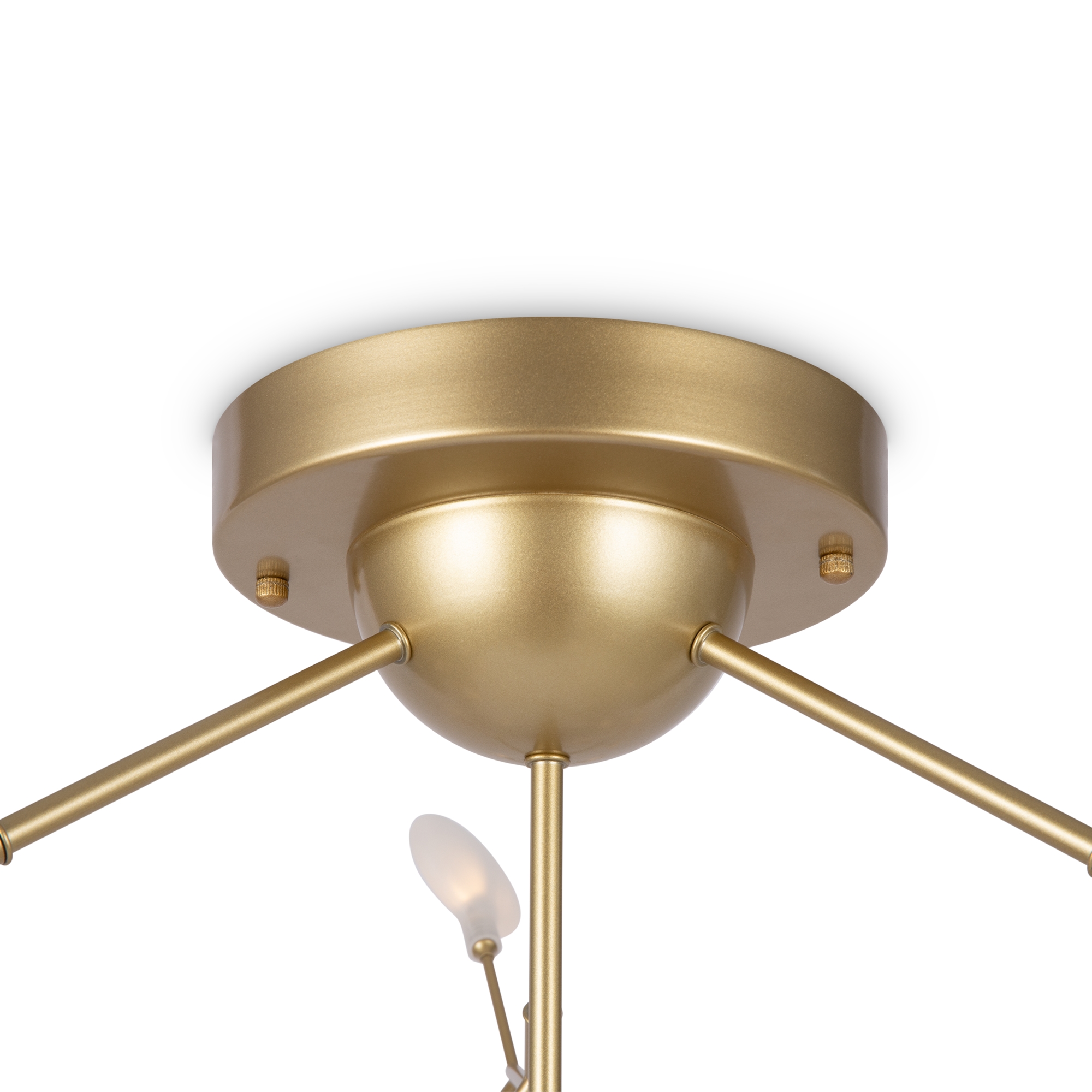 Картинка Потолочный светильник Freya FR5049CL-36G