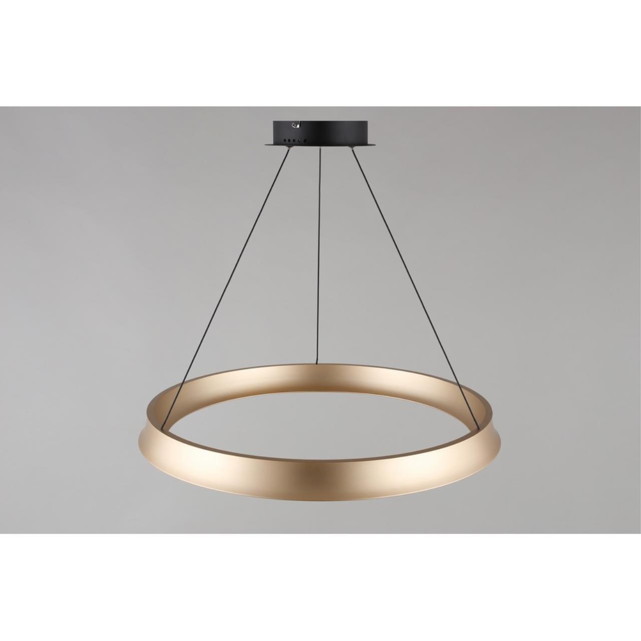 Картинка APL.787.03.50 Светильник подвесной Aployt Justyna