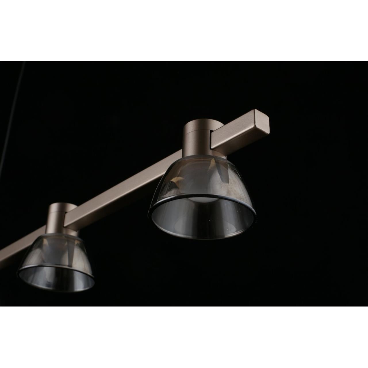 Картинка APL.788.03.06 Светильник подвесной Aployt Rezeda