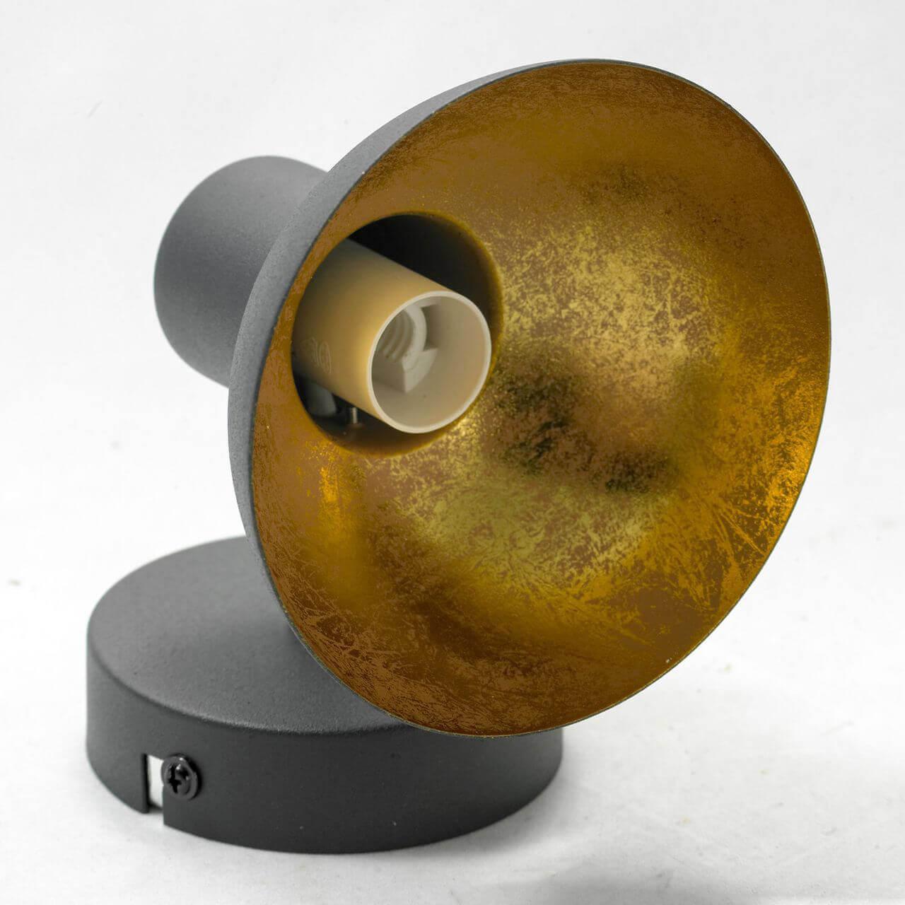 Картинка Спот Lussole Loft LSP-9973