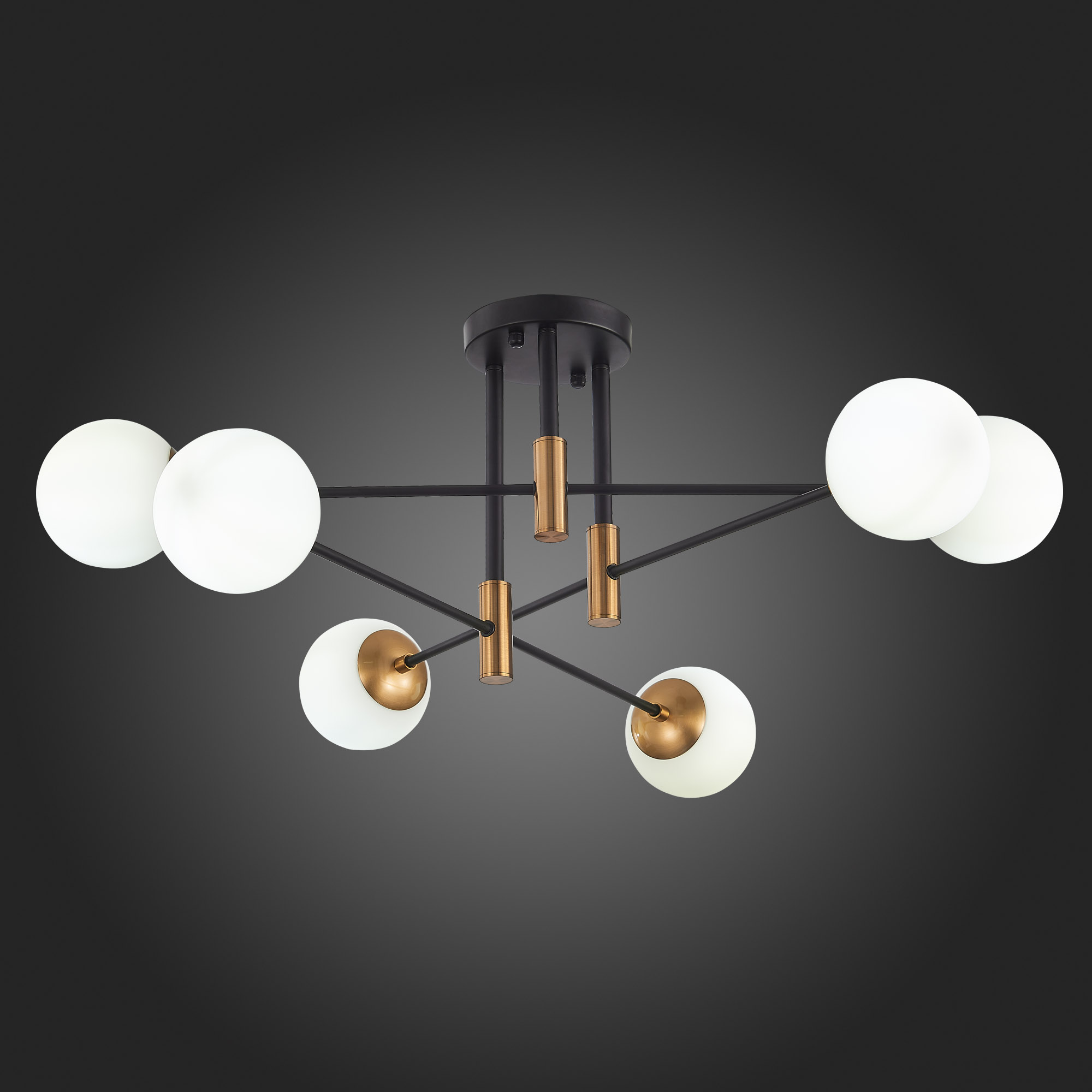 Картинка Потолочная люстра ST Luce Limano SL1203.402.06
