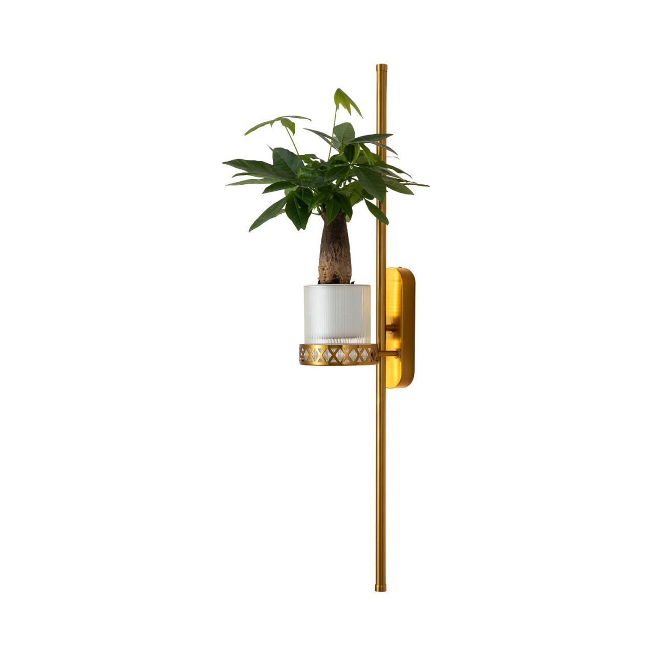 Дополнительная картинка Настенный светильник Greenery 4050-2W