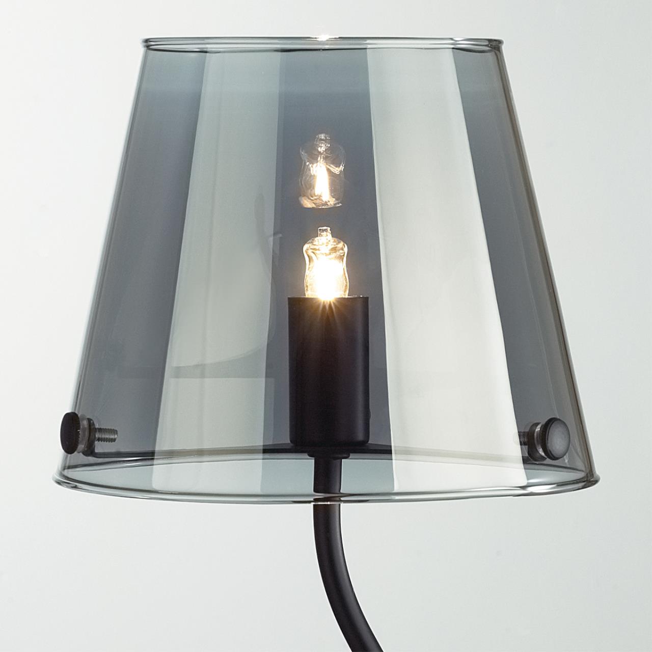 Картинка 6570/1T Lumion Настольная лампа SMOKY