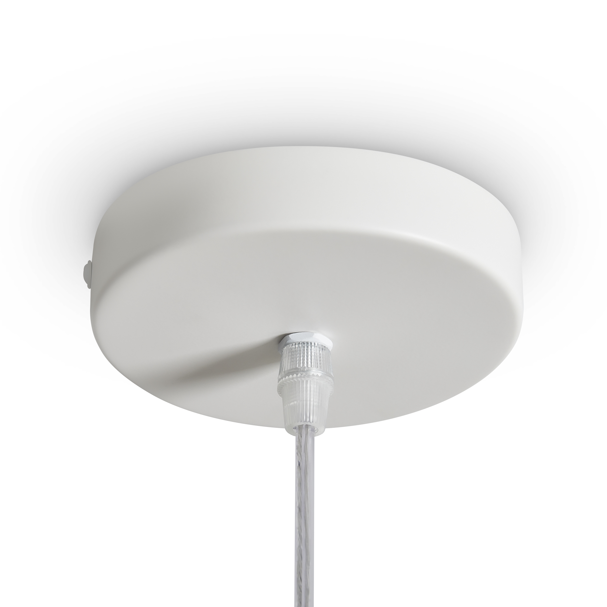 Дополнительная картинка Подвесной светильник Freya FR5555PL-01W