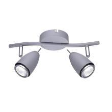 Настенно-потолочные Настенно-потолочный светильник Arte Lamp Regista A1966AP-2GY, доставка по Казахстану 