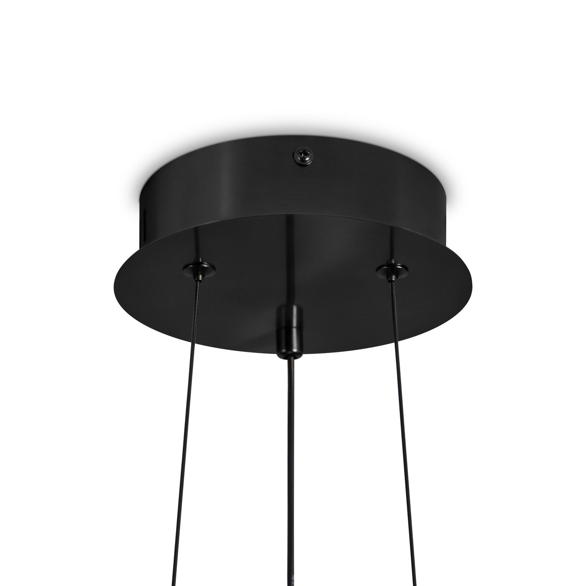 Дополнительная картинка Подвесной светильник Freya FR5398PL-L8B