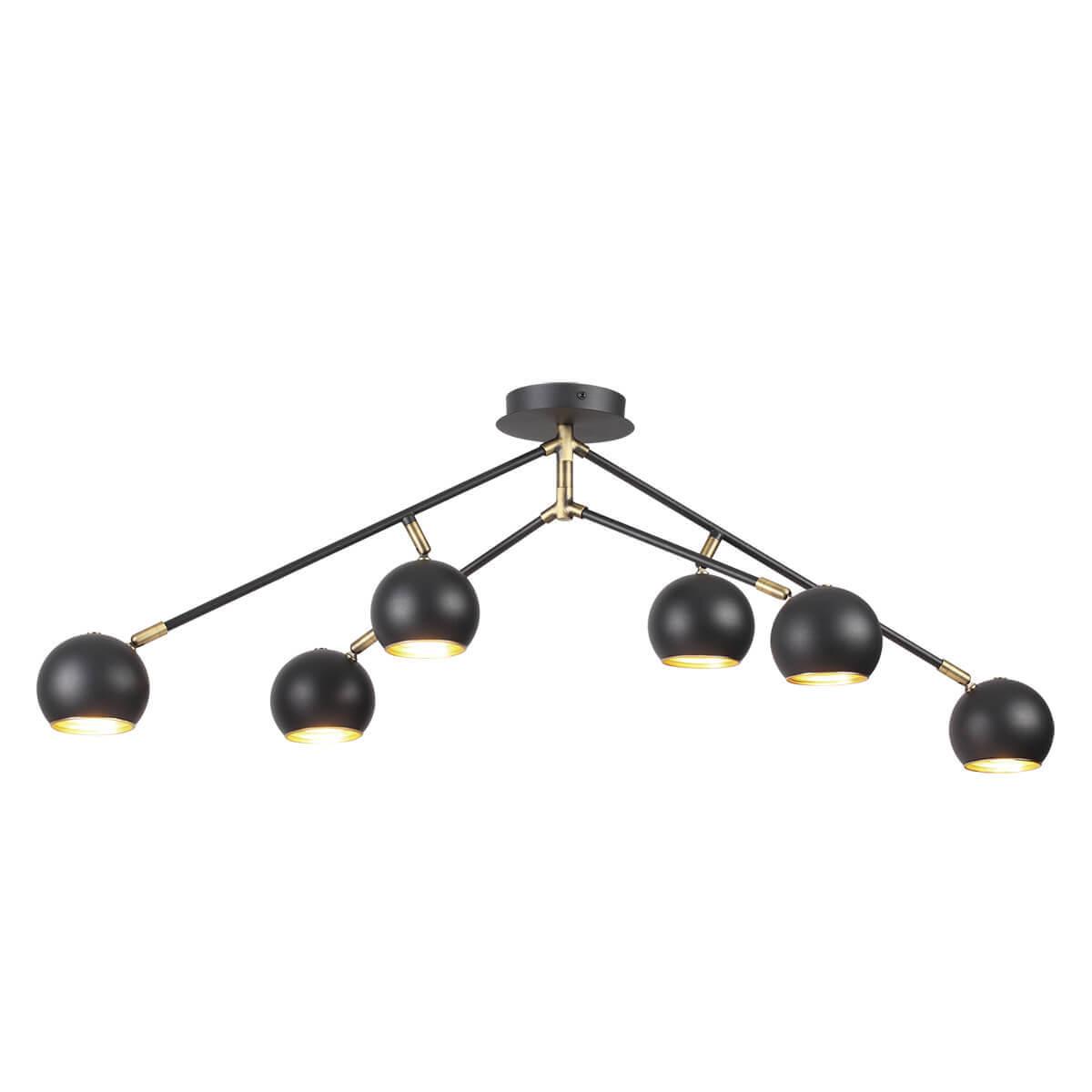 Картинка Потолочная люстра Lumion Neruni 3635/6C