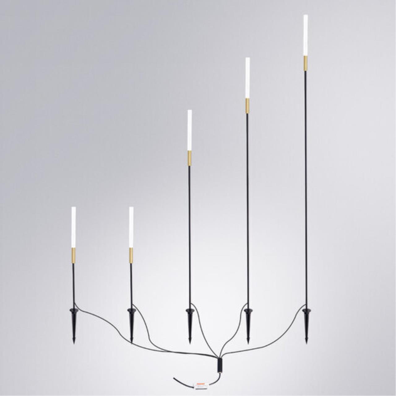 Картинка Грунтовый светильник Arte Lamp MUSTER A1083PA-5BK
