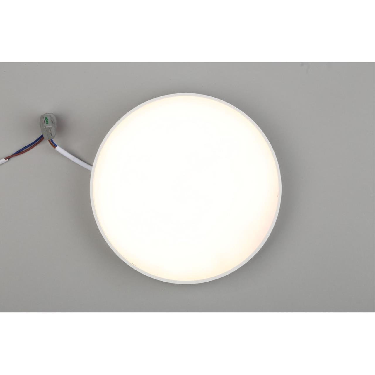 Картинка Потолочный светодиодный светильник Aployt Evon APL.0113.09.24