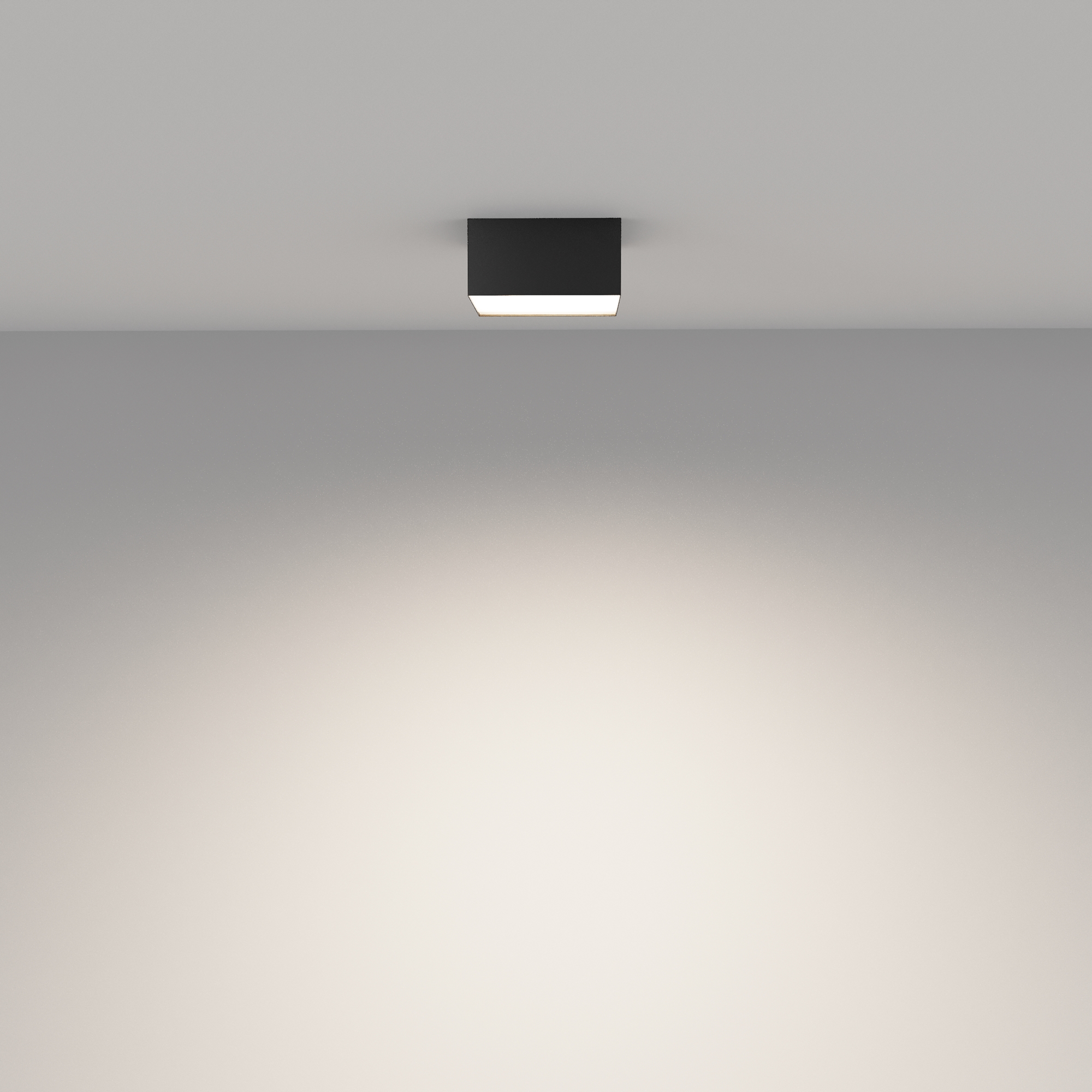 Дополнительная картинка Потолочный светильник Technical C032CL-12W4K-SQ-B