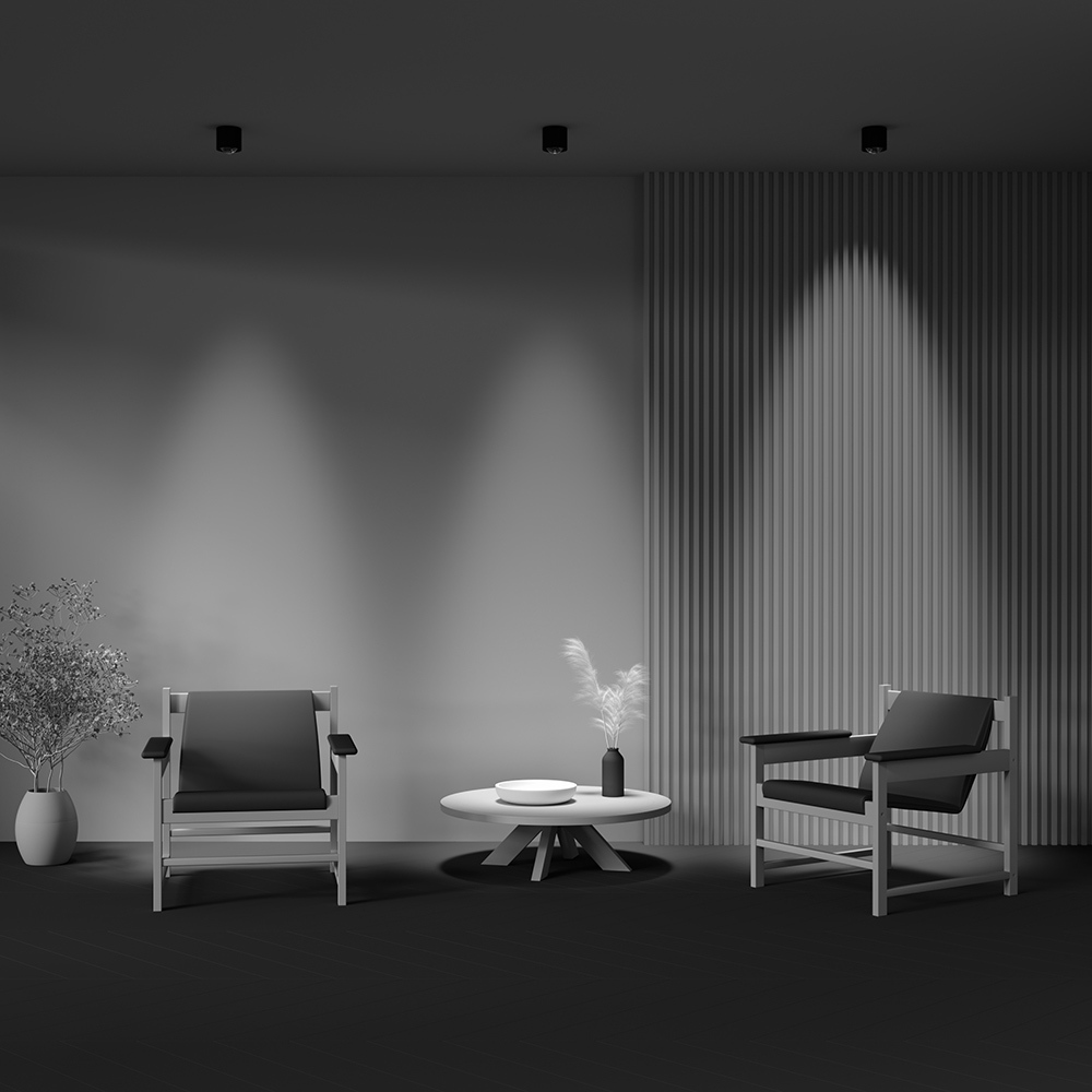 Дополнительная картинка Потолочный светильник Technical C217CL-15W4K-B