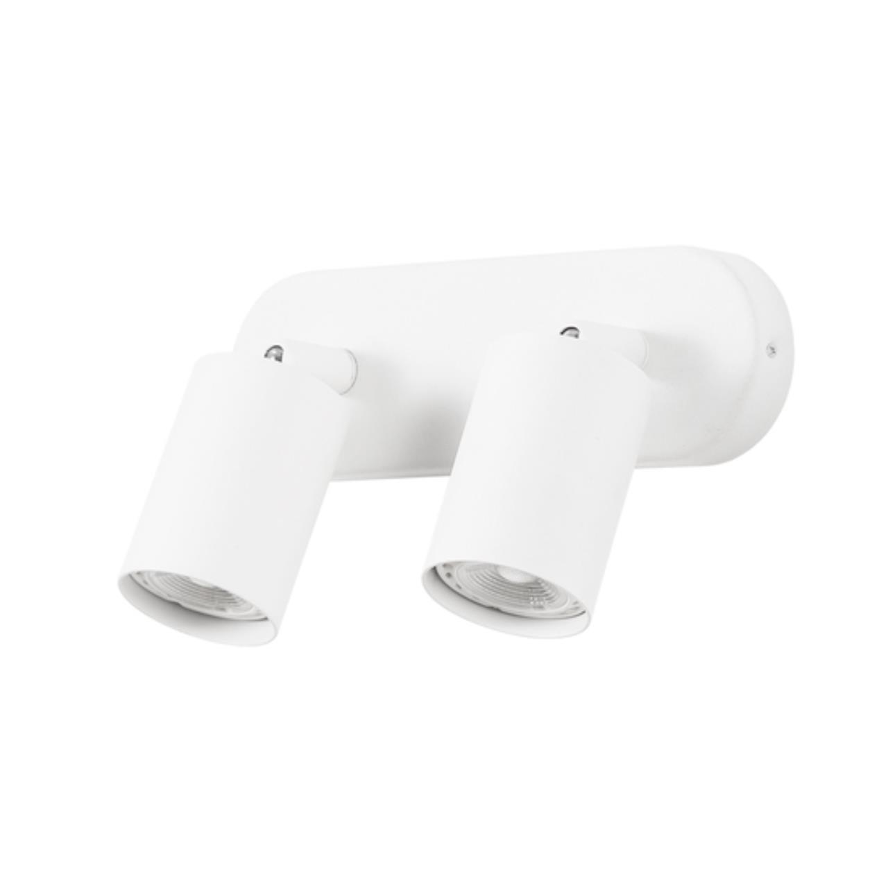 Дополнительная картинка Потолочный светильник Arte Lamp AQUARIUS A3226PL-2WH