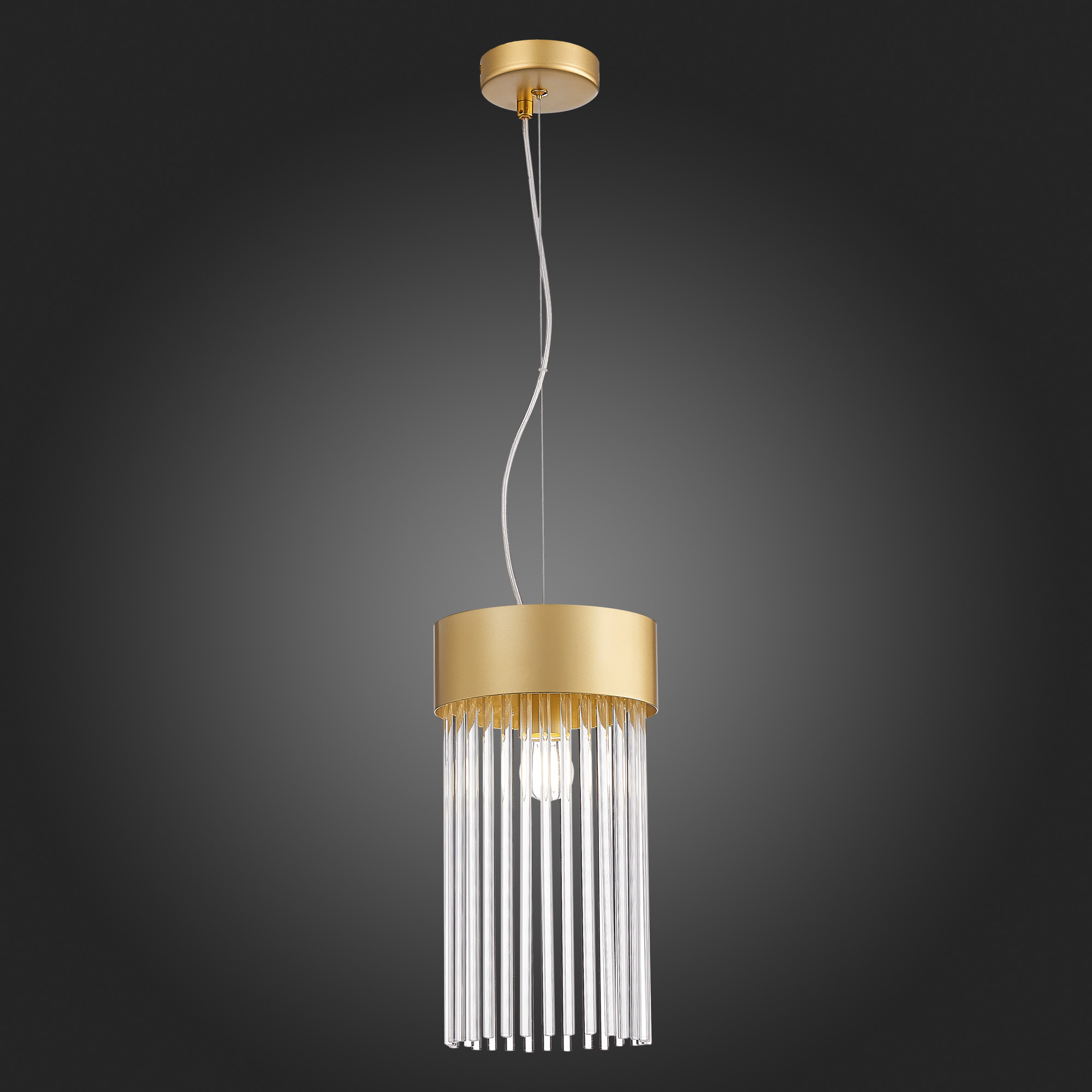 Картинка Подвесной светильник ST Luce Contatto SL1225.203.01