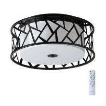 Потолочные 7700/40L AVRA LED SN Светильник с пультом ДУ FABIANA, доставка по Казахстану 
