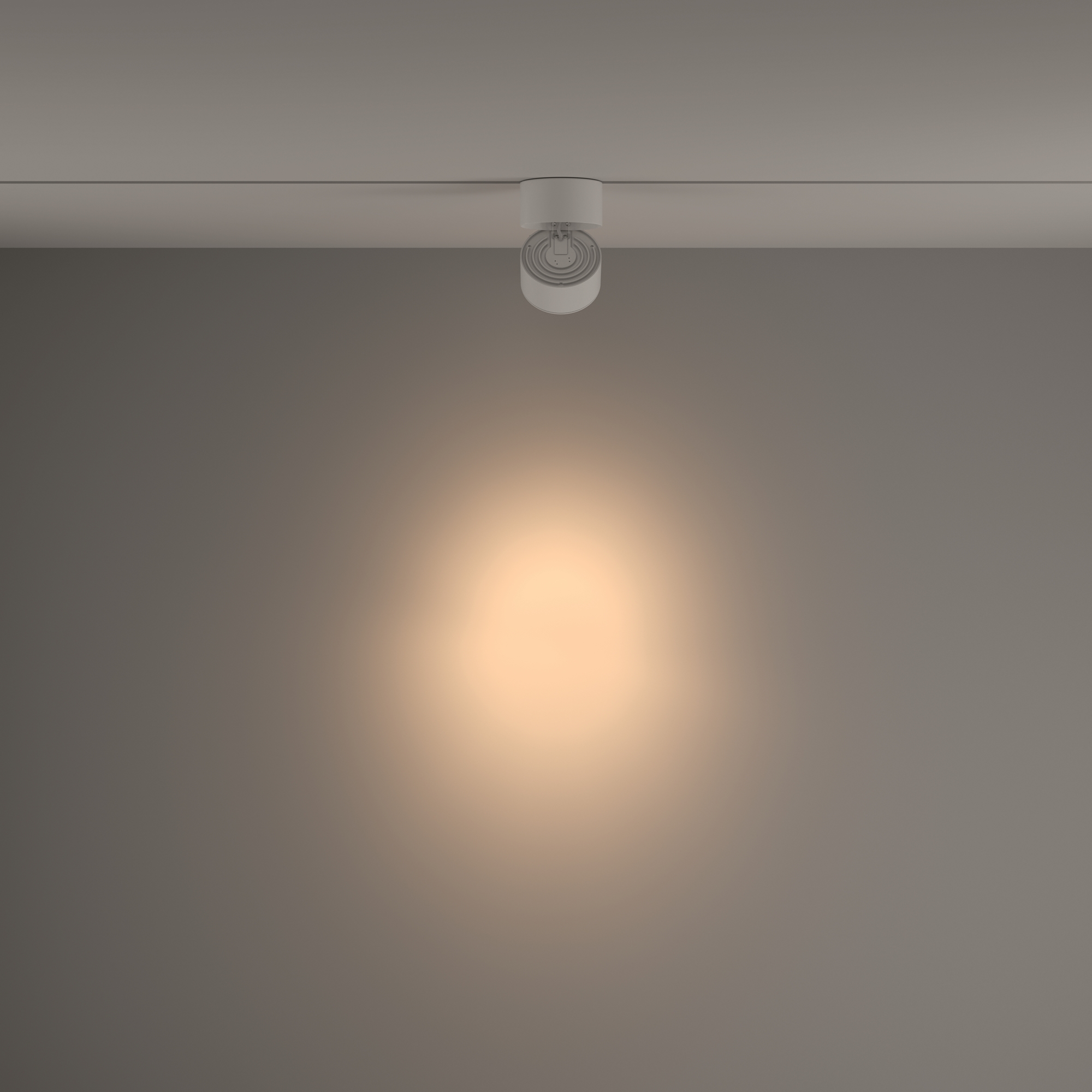 Картинка Трековый светильник Technical TR084-1-15W3K-W