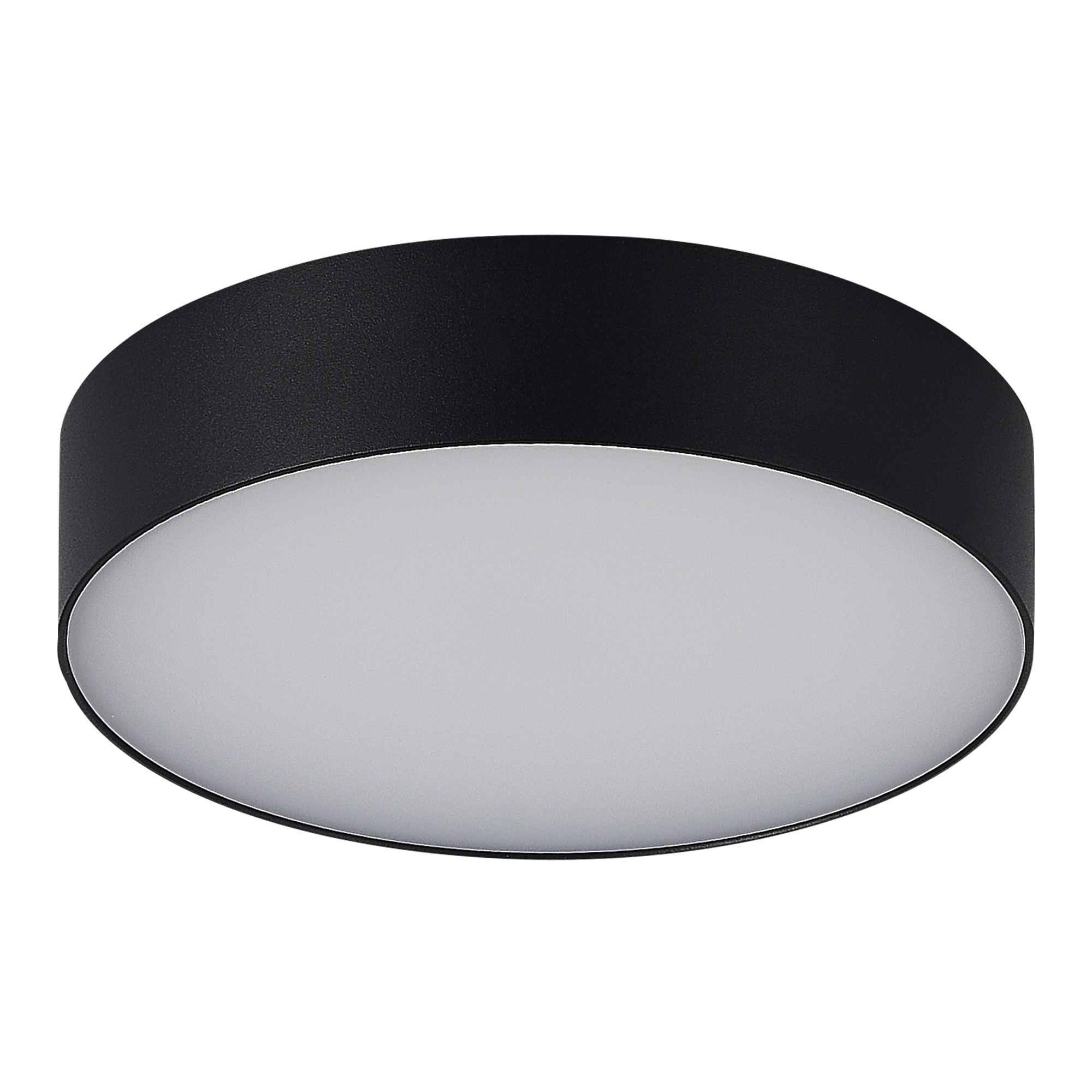 SL9518.402.01 Светильник уличный потолочный ST-Luce SUN — фото 2