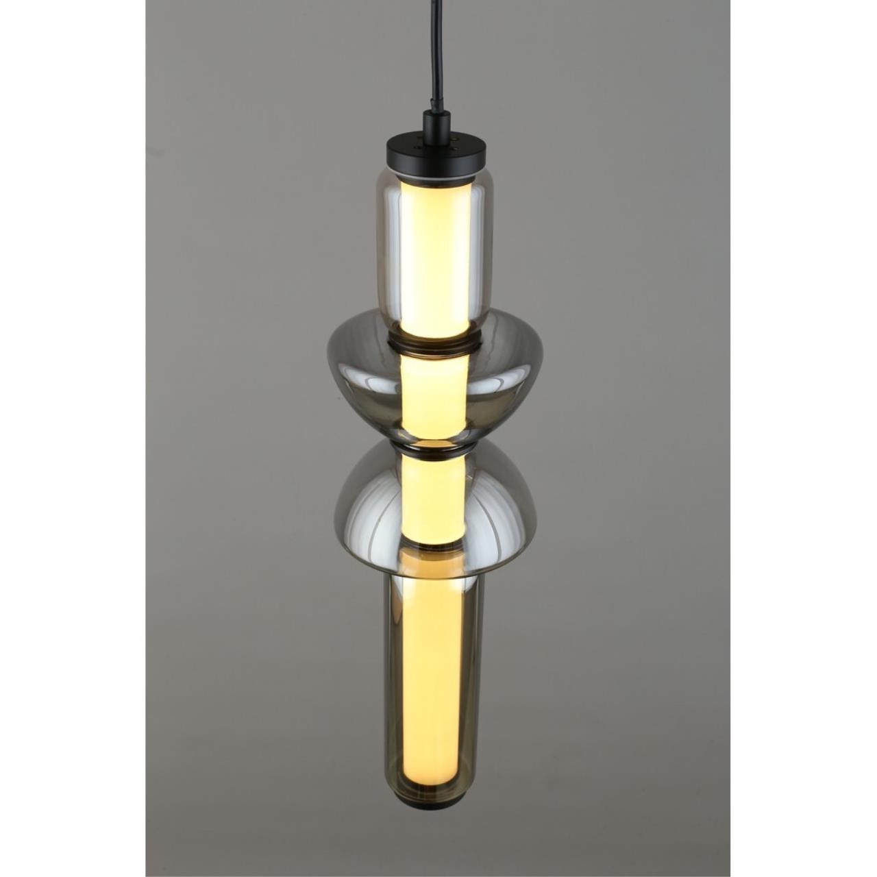 Картинка APL.665.06.17 Светильник подвесной светодиодный Aployt Elin