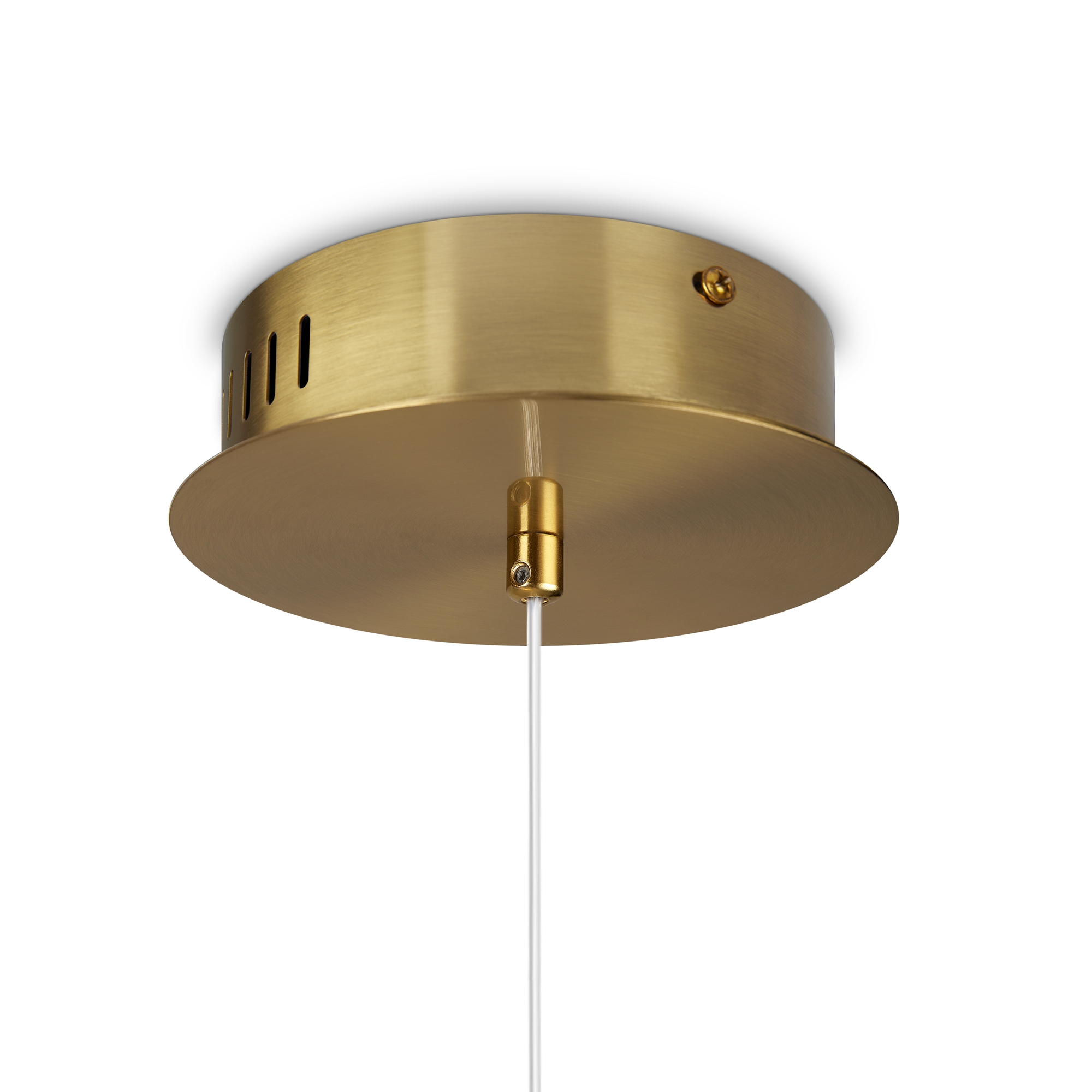 Дополнительная картинка Подвесной светильник Freya FR5396PL-L13BS