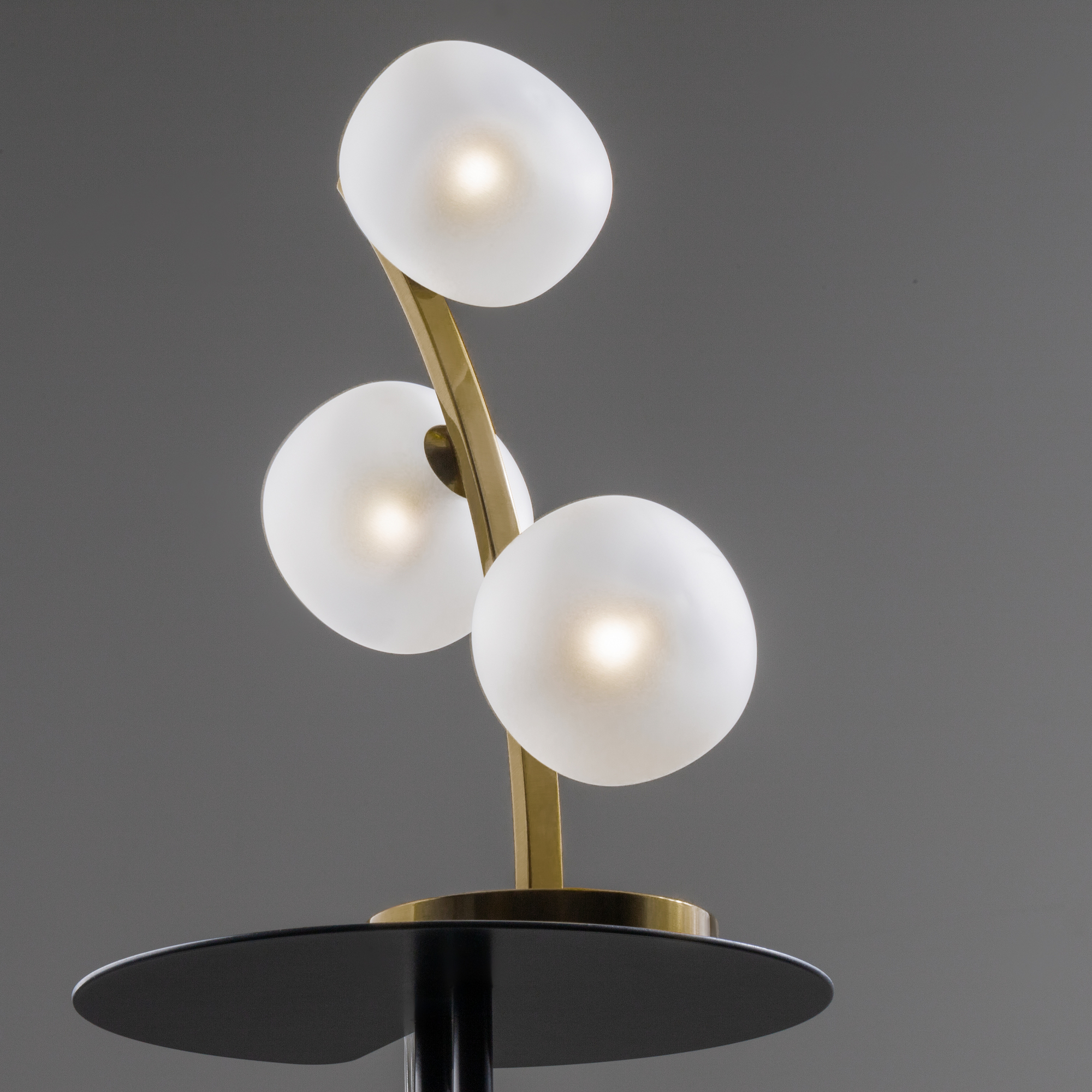 Дополнительная картинка Настольный светильник Freya FR5444TL-03BS