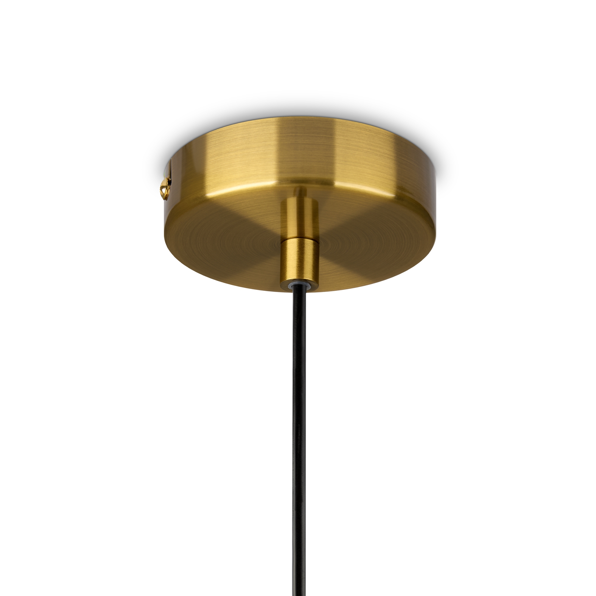 Дополнительная картинка Подвесной светильник Freya FR1012PL-01BS1