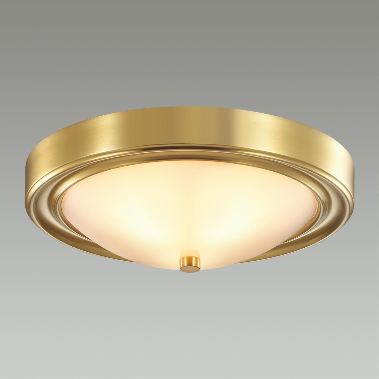 Дополнительная картинка Настенно-потолочный светильник Lumion Vintage Nina 5259/2C