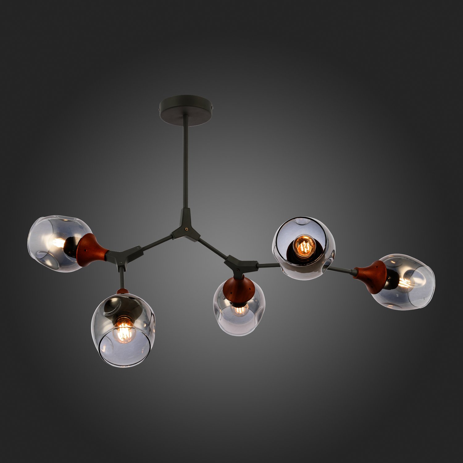 Дополнительная картинка Потолочная люстра Evoluce Ciotolla SLE113402-05