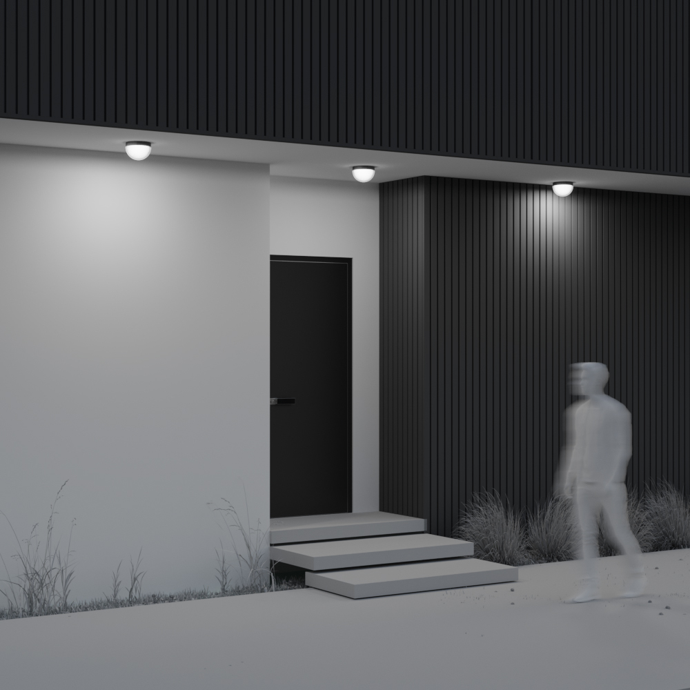 Дополнительная картинка Потолочный светильник Outdoor O438CL-L12GF3K