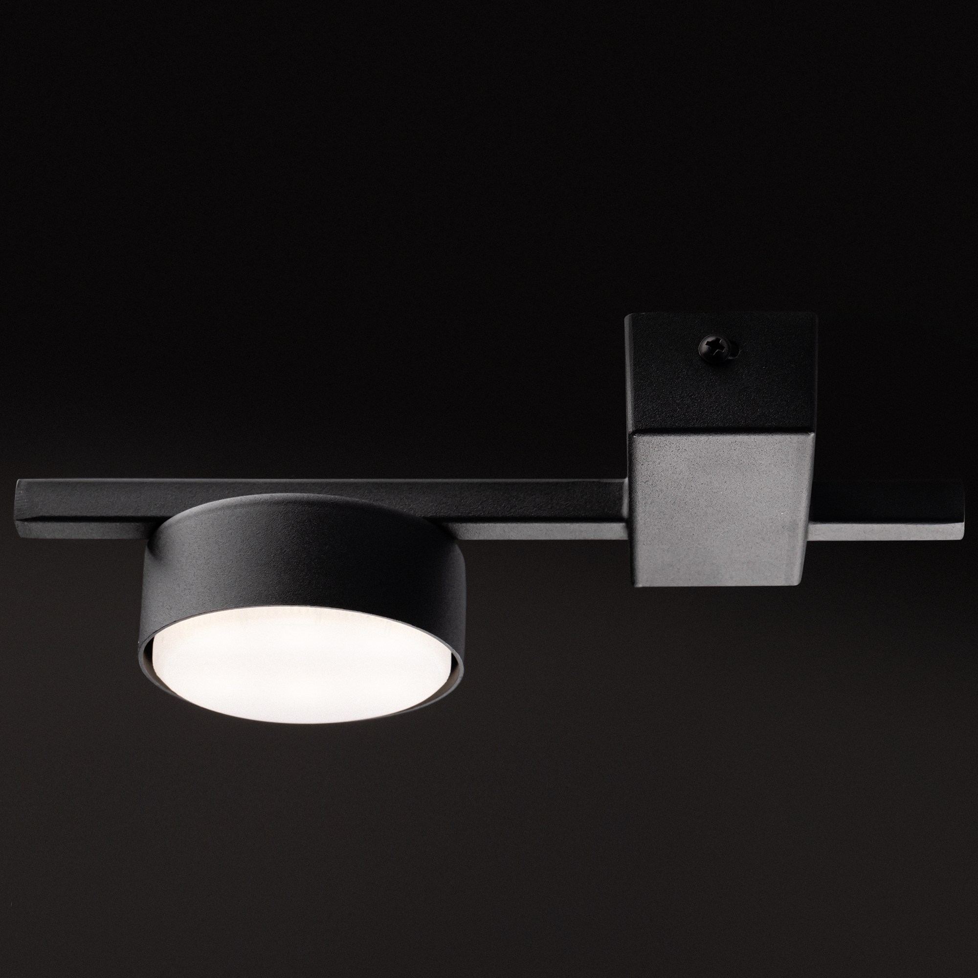 Дополнительная картинка Потолочный светильник Freya FR5363CL-01B