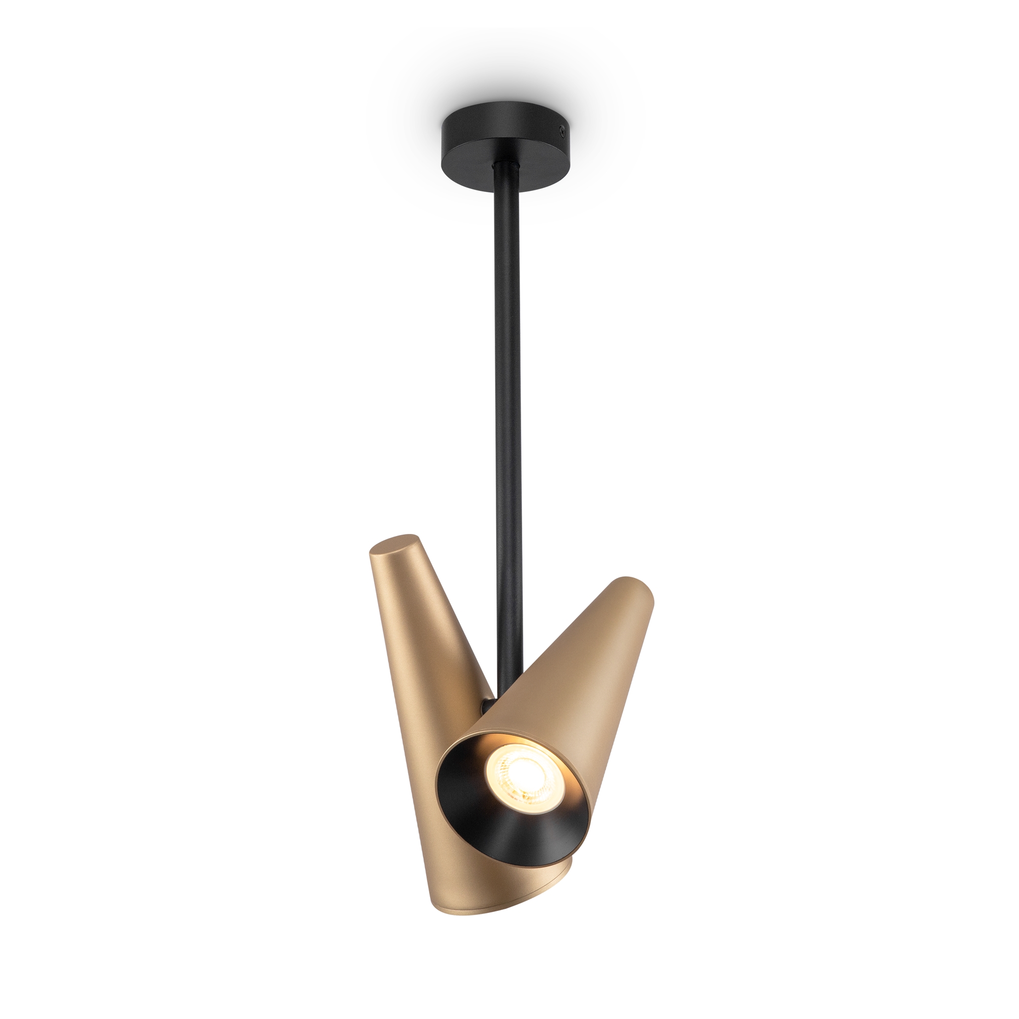 Дополнительная картинка Потолочный светильник Maytoni MOD095CL-02BS