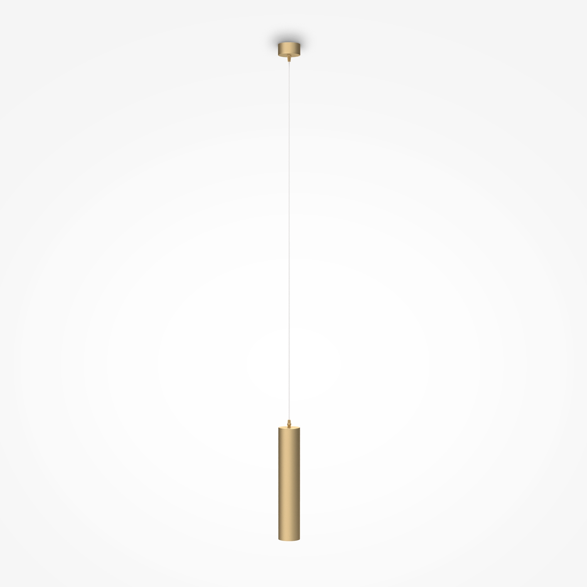 Дополнительная картинка Подвесной светильник Technical P075PL-01MG